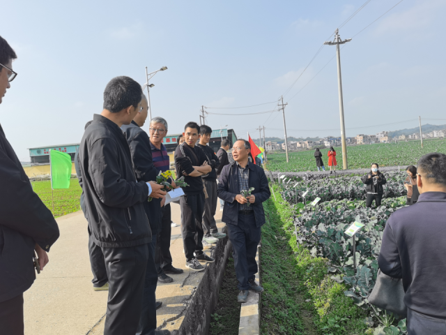 与会领导、嘉宾走进田间地头观摩考察。