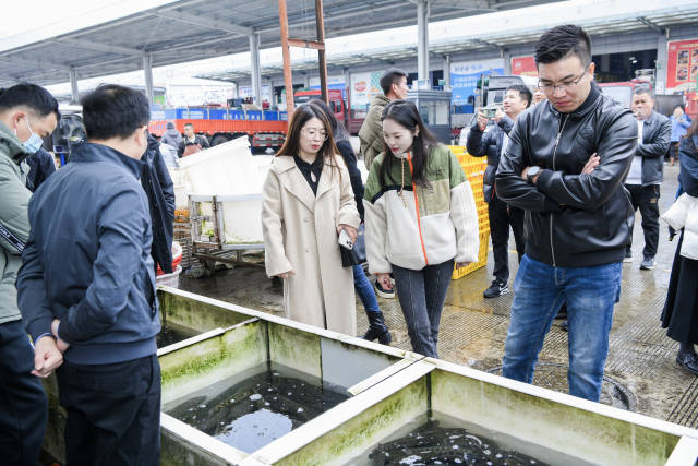 成都海吉星市场生鱼档口。