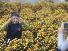 2024东莞“行花街”最全地图发布，今年有这些新玩法！