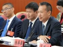 惠州市人大代表杨择郡：多措并举让惠州跻身演出市场热选地