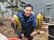 兴宁市“产业村长”陈伟：耕耘“三农”讲台 让“小酱菜”成大产业