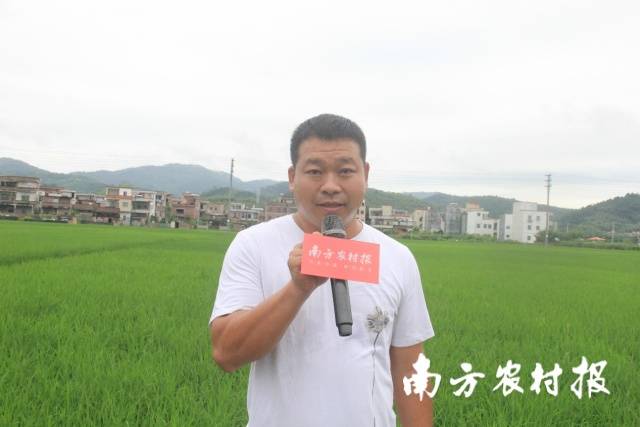 广宁县来好种养专业合作社社长陈作杏。