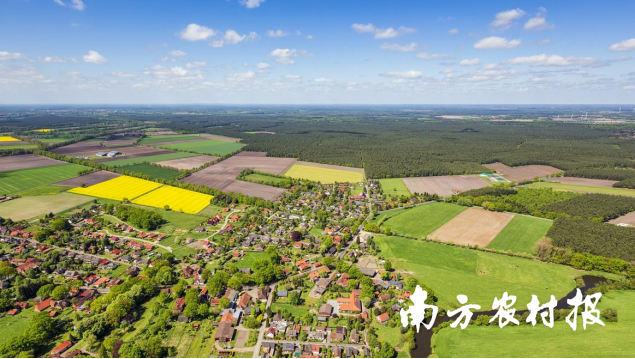 新会区沙堆镇和美乡村景色。 新会区沙堆镇和美乡村景色。