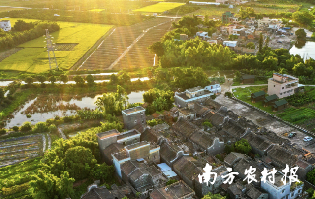 新会区司前镇和美乡村。 新会区司前镇和美乡村。