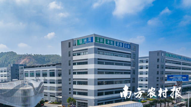 新会区三江镇银州湾科创产业园。 新会区三江镇银州湾科创产业园。