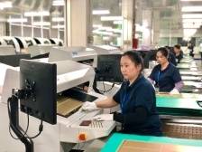 惠州市人大代表刘晓彤：做大做强本土品牌