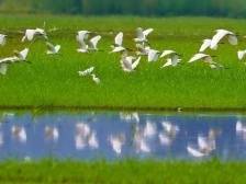 力争年内成功创建国家生态文明建设示范市丨聚焦云浮两会