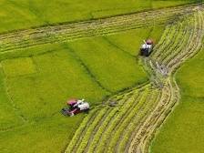 市人大代表张淼鑫：为农牧行业高质量发展建言献策｜江门两会·履职记