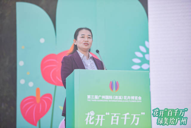 荒野乱斗荣誉之路奖励全解析与英雄图鉴终极攻略