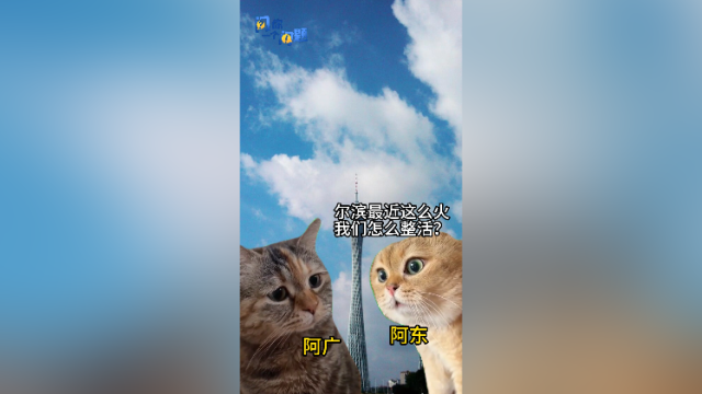 广东文旅代言人是谁？居然没有李彩娇？街坊选了……