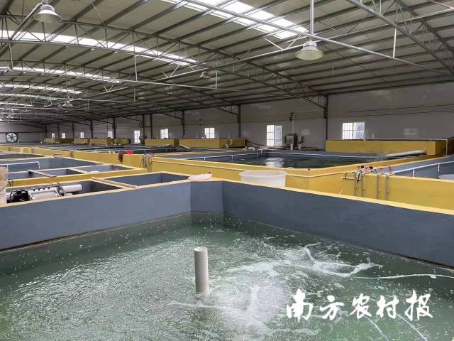 梁氏种业生产车间。 梁氏种业生产车间。