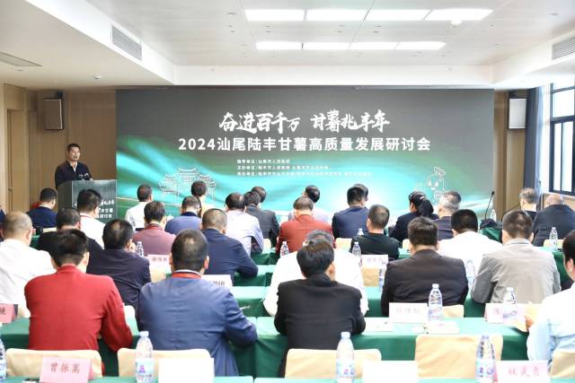 2024汕尾陆丰甘薯高质量发展研讨会召开，陆丰市副市长刘亮致辞。