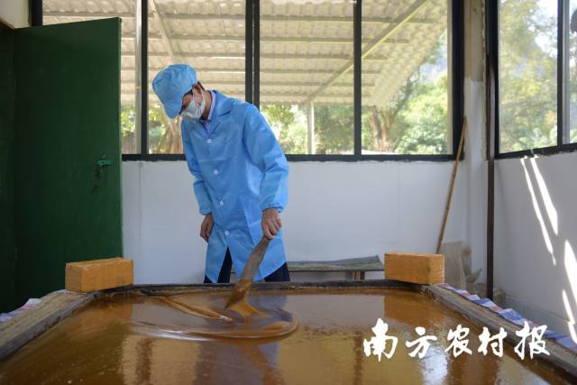 工作人员正在制作红糖 工作人员正在制作红糖