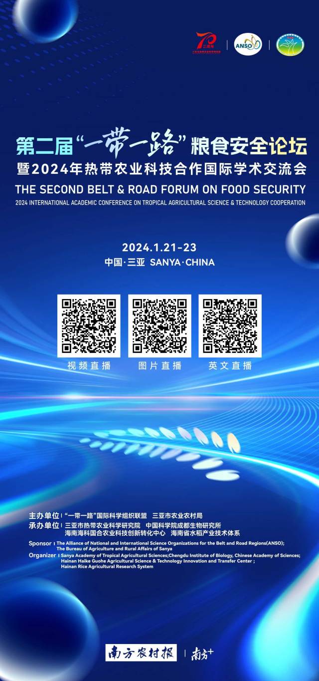 十二国专家相聚三亚,共商“一带一路”粮食安全