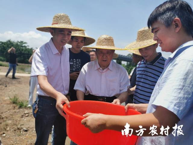 中国工程院院士林浩然（左3）在梁氏种业基地进行技术指导。