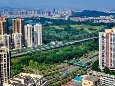 宝龙街道党工委书记李广群：高质量打造低碳智造核，谱写幸福园区新篇章