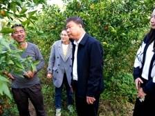 张广晖带队调研武江区“百千万工程”典型村培育工作