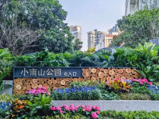 颜值up！南山这个公园完成升级改造