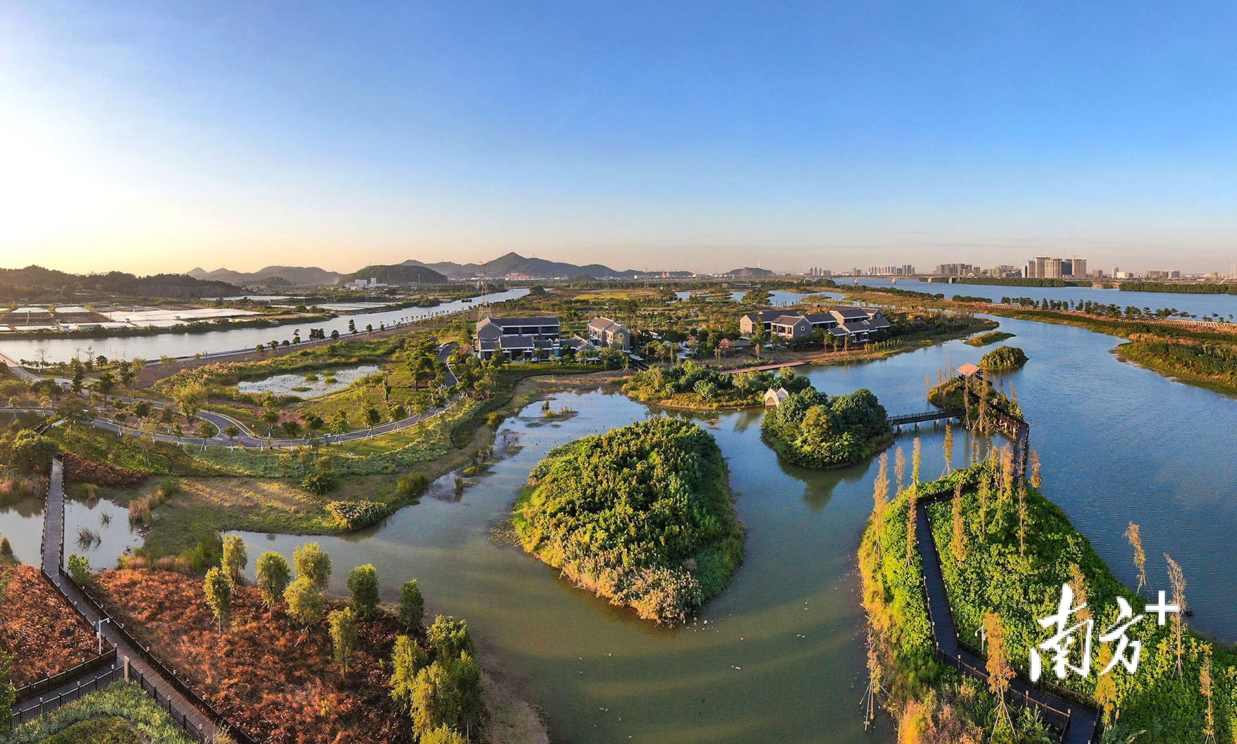 翠亨国家湿地公园。 南方+ 叶志文 拍摄 翠亨国家湿地公园。 南方+ 叶志文 拍摄