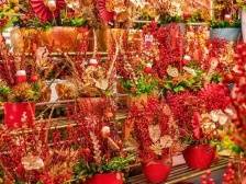 年宵花怎么选？深圳各区花市都在哪儿？看这篇就够啦！