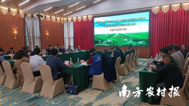 粤北山茶（阳山）研讨会暨广东省乡村振兴“头雁”培育项目华南农业大学专家回访审评会现场