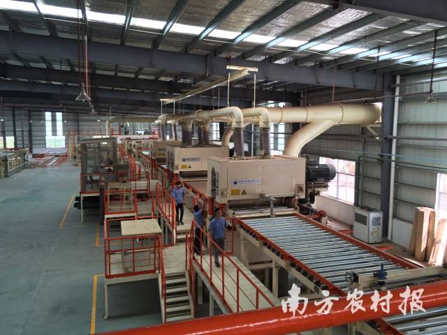 木板材加工现场 木板材加工现场
