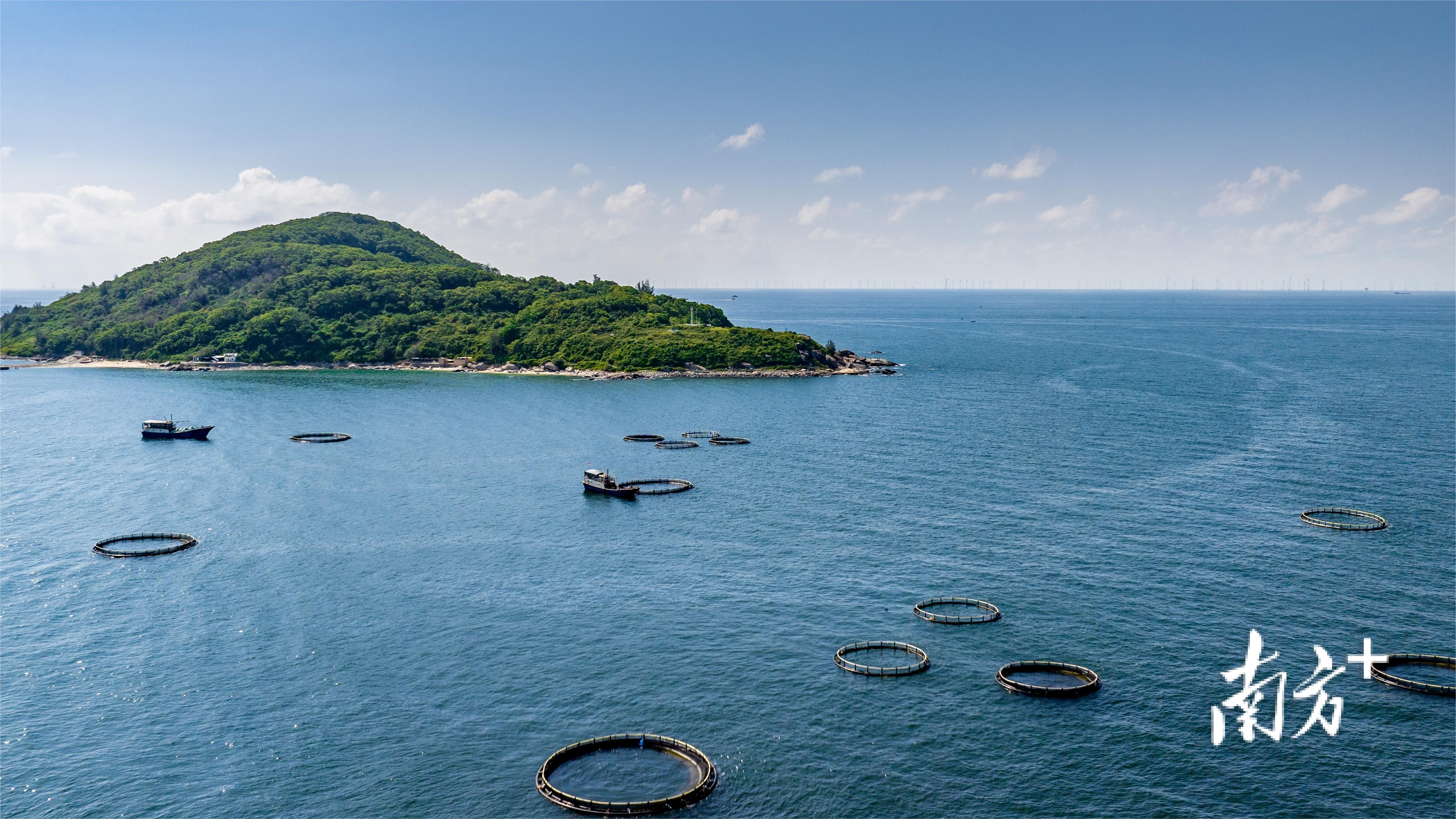 依托丰富的海洋资源,阳西大力发展深水网箱养殖。全县深海网箱养殖基地占阳江市的80%。阳西县融媒体中心供图