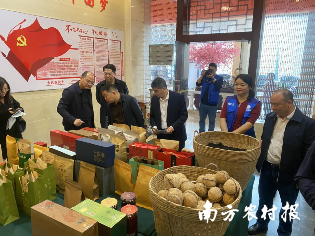 专家现场品鉴、审评当地茶叶产品