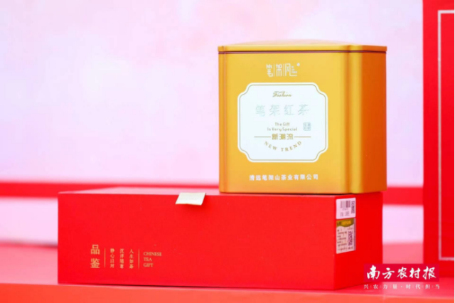 清新区优质红茶产品。