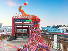 年宵花去哪买？2024佛山最全花市地图来啦