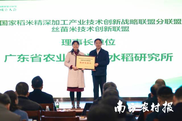 陈良玉副秘书长为丝苗米技术创新联盟理事长单位颁发证书。