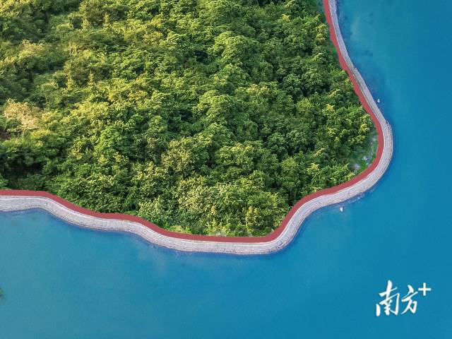 小桂绿道.大亚湾开发区供图