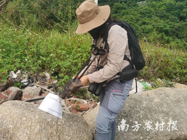 架设红外相机监测 架设红外相机监测