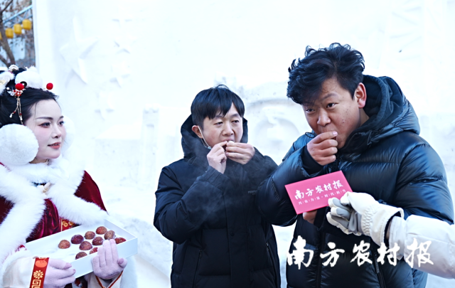 哈尔滨人民品尝广州从化冻眠荔枝。 哈尔滨人民品尝广州从化冻眠荔枝。