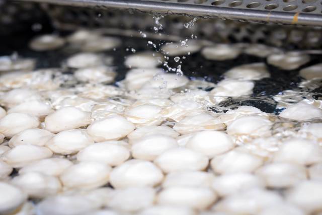 惠来鱼丸。摄影/吴秒衡