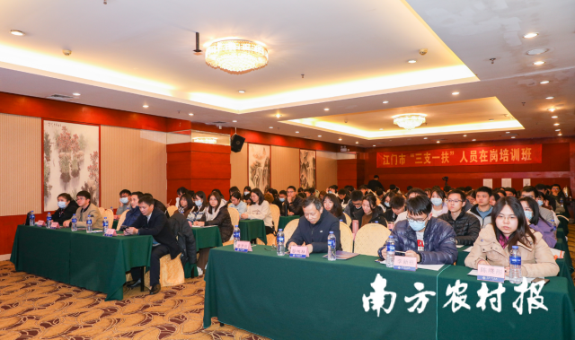 江门市“三支一扶”人员在岗培训班现场。