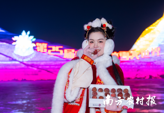 1月22日，广州从化冻眠荔枝首次亮相哈尔滨。