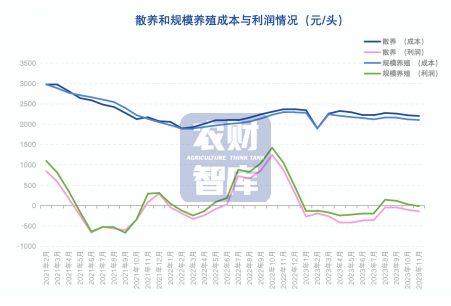  江湖悠悠手游算命功能全解析揭秘其作用与使用技巧指南