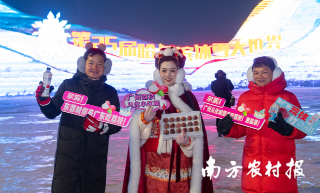 1月22日，广州市从化区的冻眠荔枝跨越3000多公里北上哈尔滨。