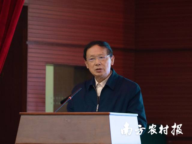 国家稻米联盟常务副理事长兼秘书长陈良玉。
