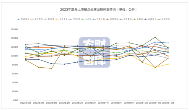 韩信峡谷鬼影迷踪上演最骚打野秀神级操作纵横野区抓到我算你赢