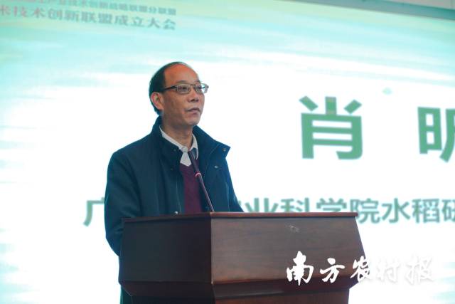 广东省农业科学院水稻研究所党委书记肖昕。