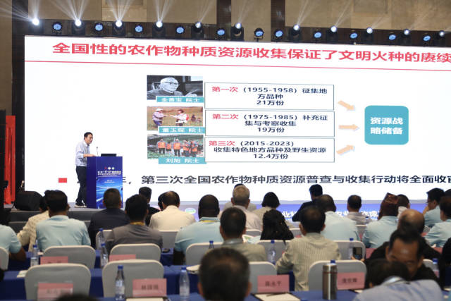 第二届“一带一路”粮食安全论坛暨2024年热带农业科技合作国际学术交流会现场