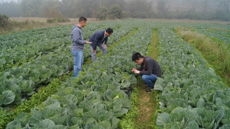 省人大代表孔憲文：積極履職,，推進廣清接合片區(qū)城鄉(xiāng)融合發(fā)展丨代表通道