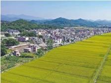 东成镇：打造三产融合高质量发展标杆