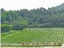 顺德对口帮扶新兴，推动产业有序转移见实效