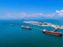 港产城深度融合！大亚湾开发区绘就“百千万工程”实景图