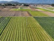 韶关武江：“百千万工程”热潮涌动，高质量发展步伐铿锵