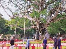 新兴县人民检察院：立足监督主责 践行司法为民