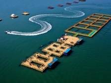 代表通道 | 梁思桥：把“蓝色粮仓”从近海逐步推向深远海